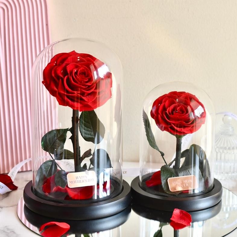 Um57 [Ready] Bunga Valentine Hadiah Pacar Flower Glass Dome Anniversary Pacar Cewek Istri Mawar Buke