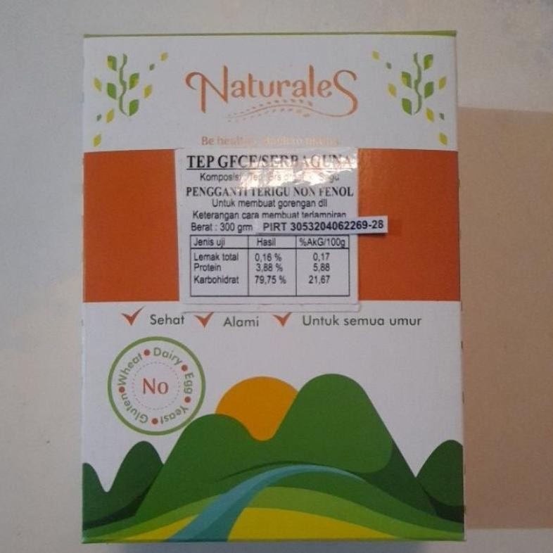 

Tepung GFCF | Pengganti Terigu | Gluten Free | Casein Free | Non-Fenol | Aman bagi Autism, ADHD, Hiperaktif | Naturales | 300 gr Nugi