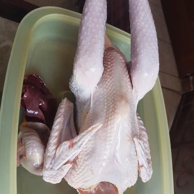 

Ayam Kampung Asli Segar 7-9 Ons Siap Konsumsi Nugi