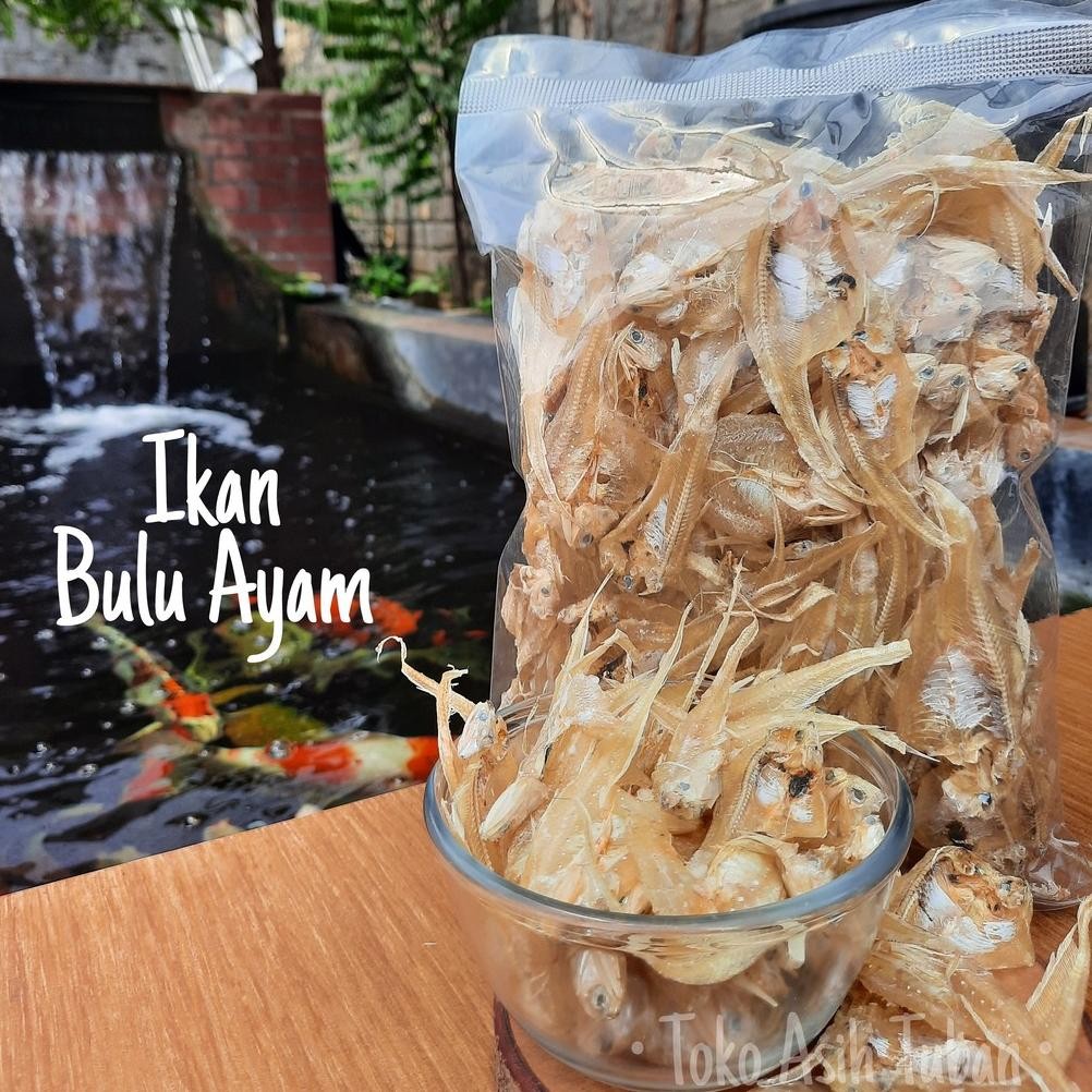 

Ikan Asin Bulu Ayam 200gr Mentah - Asih Gereh Gerih