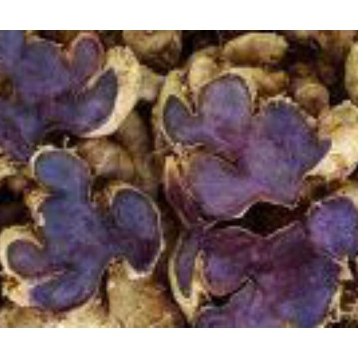 

Kunyit Hitam Dan Masih Segar Di Ambil Jika Ada Orderan Masuk Gr