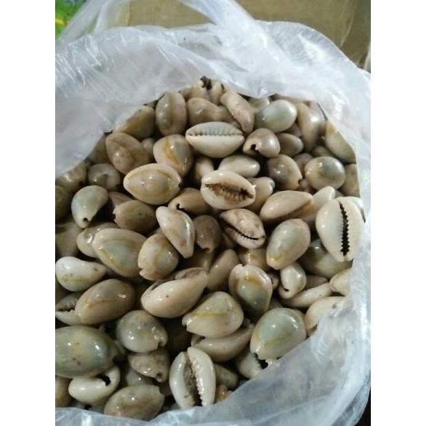 Dakon Congklak Ukir Free Biji Dakon Congklak GS