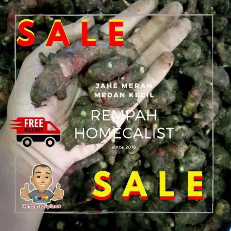 

Jahe Merah Kecil 1Kg Jahe Merah Segar Bibit Jahe Merah