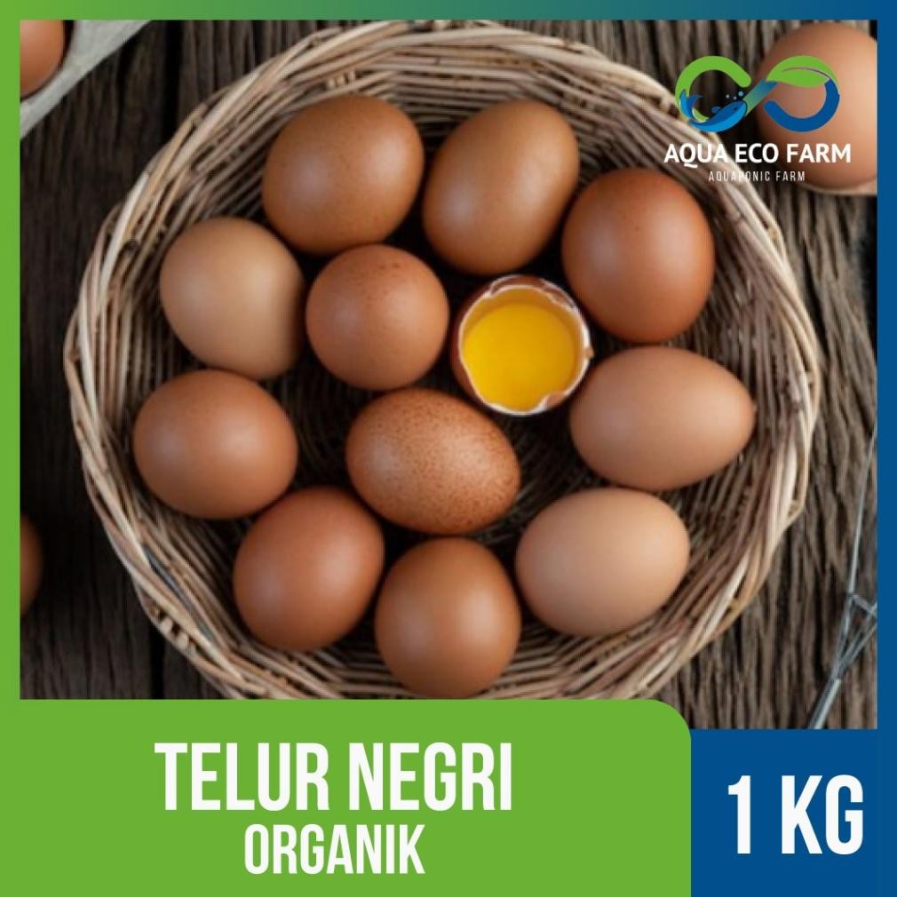 

Telur Organik by AquaEcofarms Bandung kualitas tinggi kuning Nugi