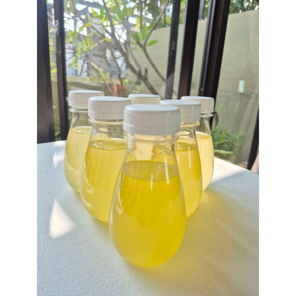 

Minuman jeruk sonkit 200 ml