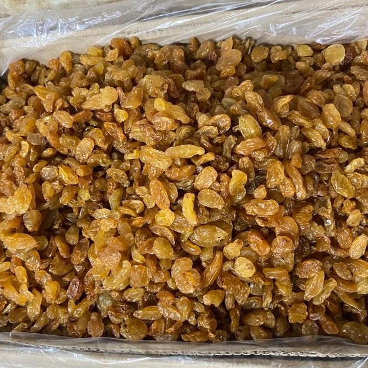 

Kismis Malayar 1Kg Oleh Oleh Haji Umproh