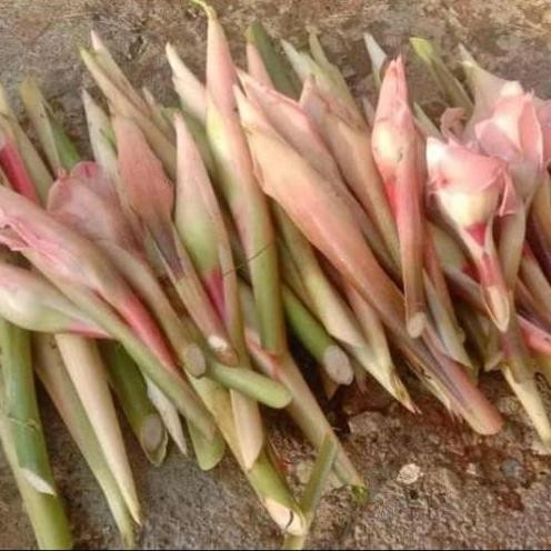 

Bunga kecomrang / Bunga Rombeh segar 250grm