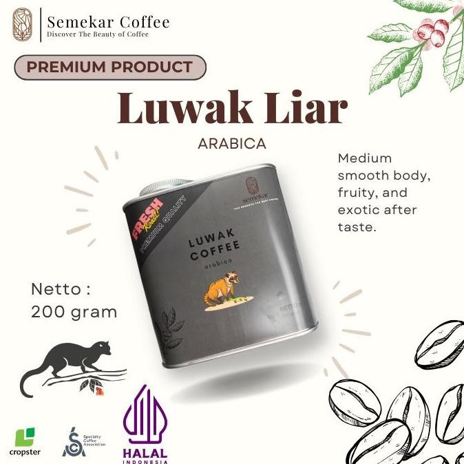 

READY KOPI LUWAK LIAR ASLI ARABICA SPECIALTY KALENG CAN HADIAH PREMIUM