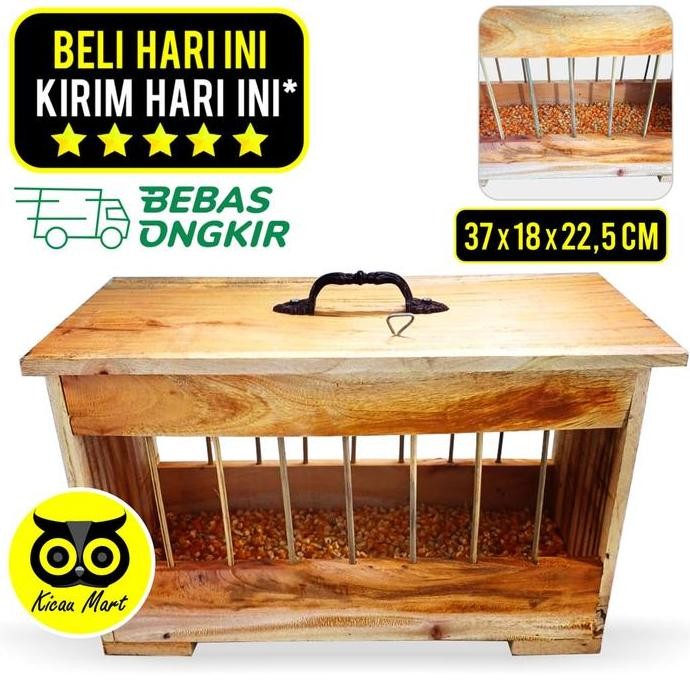 paling diminati] TM Tempat Wadah Makan Pakan Jagung Burung Merpati Pos Kolong Tomprang Lomba Dara Te