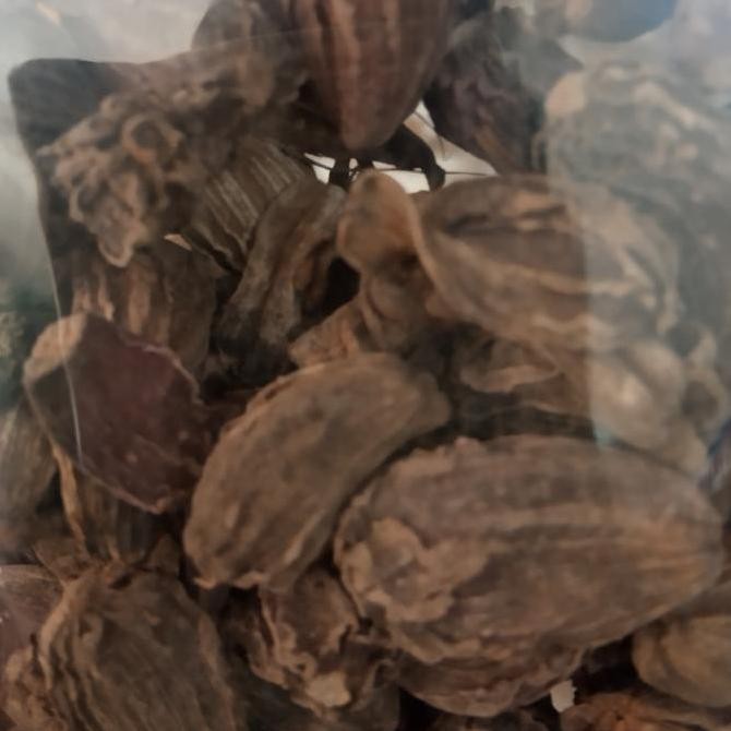 

><><><] Kapulaga Hitam/black cardamon