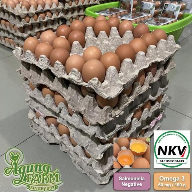 

Produk Baru!! Telur Ayam Negeri Curah 10kg - Telor Segar dari Kandang NKV