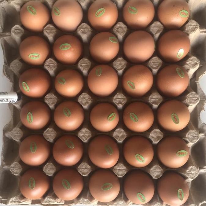 

Produk Baru!! Paket Telur Negeri Omega Isi 30 Butir - Telur Sehat Bergizi