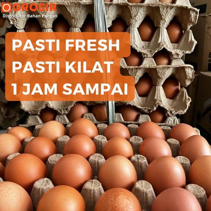 

Produk Baru!! Telur Ayam Negeri 1 Kg - Telur Segar Harian Curah