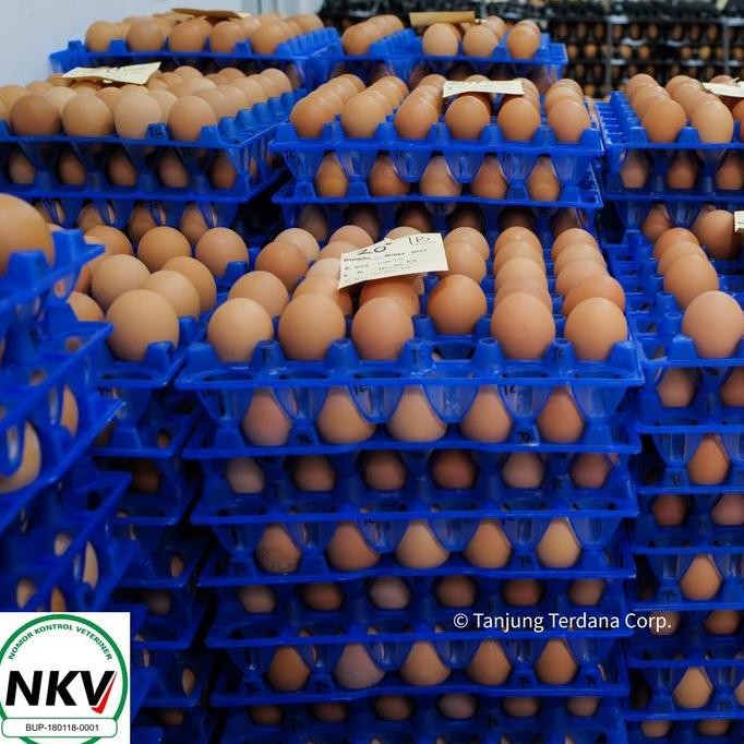 

Produk Baru!! Telur Ayam Negeri 1 Kg Grade A Fresh Peternakan Sendiri