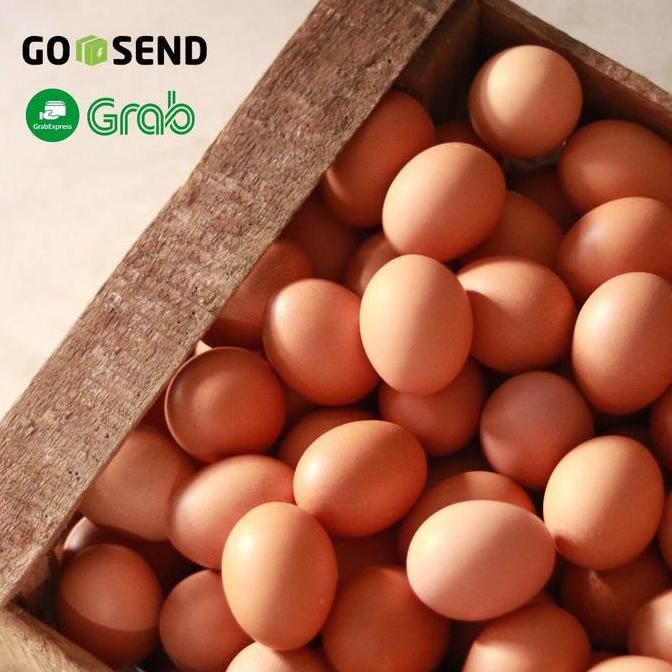 

Produk Baru!! Telur Ayam Negeri Per Kg / Telor Segar Kualitas Premium