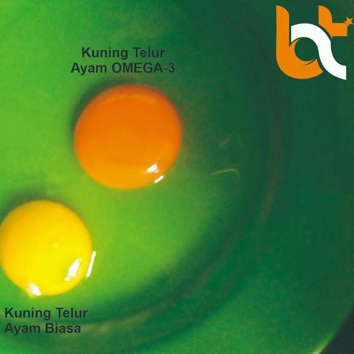 

Produk Baru!! Telur Ayam Omega 3 / Telur Sehat 1Kg - Premium Curah Segar