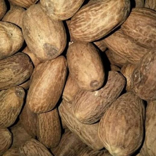 

^^^^^] Biji pala 100 gr