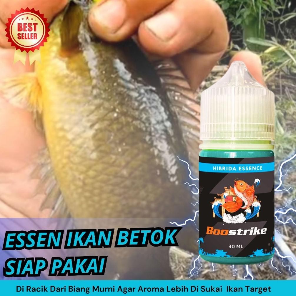 Essen Ikan Betok Paling Ampuh, Umpan Ikan Betok, Mancing Ikan Betok | Boostrike Nugi