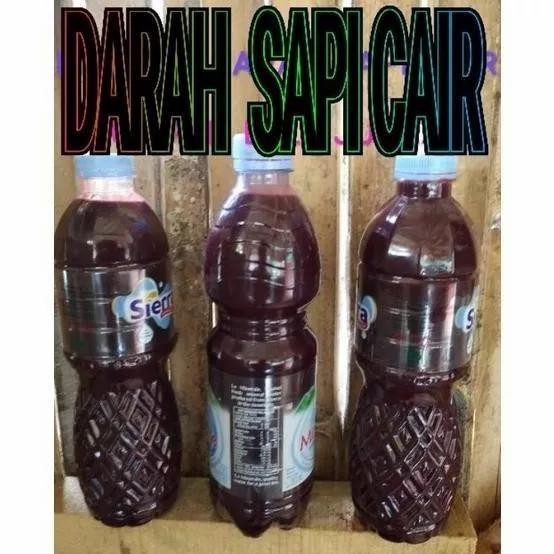 FT marus darah sapi cair