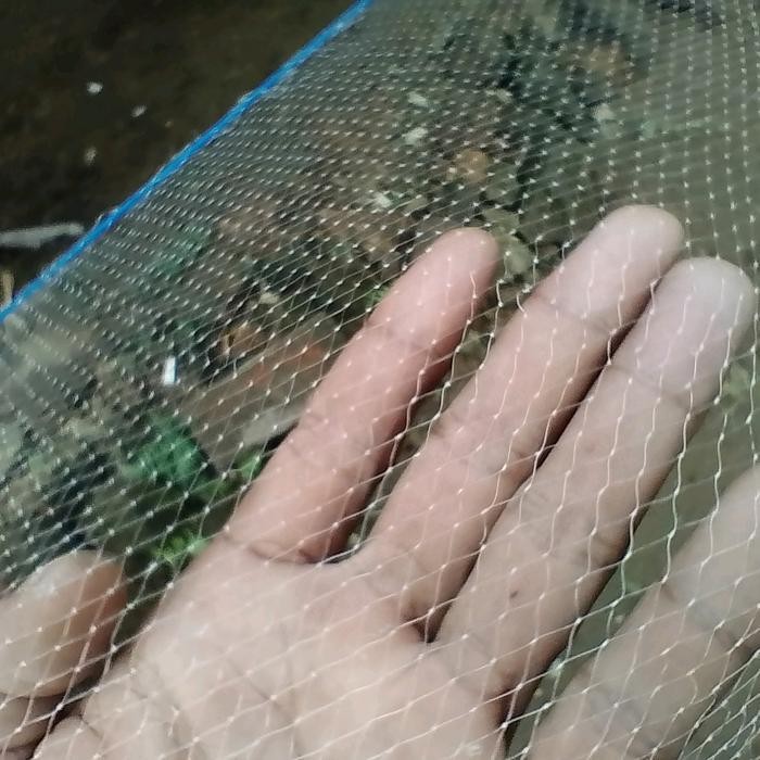 FT Sirib ikan & udang / jaring anco lubang 3/8 inchi tangkul ikan