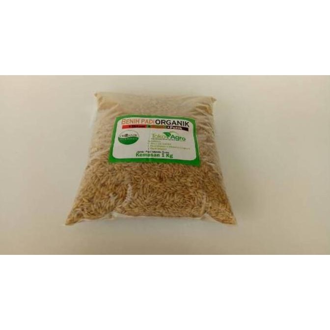 

New Arrival, Benih Padi / Beras Mentik Wangi Susu Takygo 4944Hv