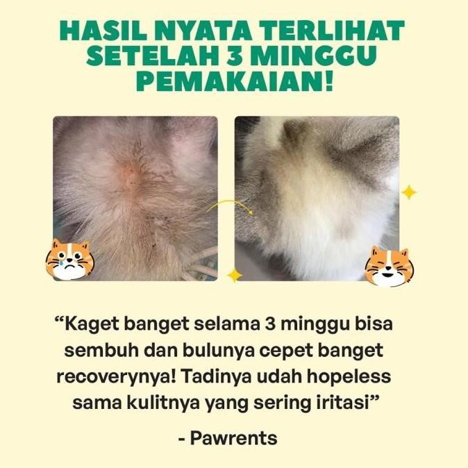 PAWPRINTS Omega Oil 100 ML BSF Vitamin Bulu Anjing Kucing No Salmon murah