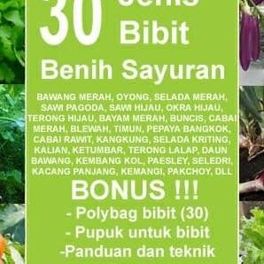 Limited!, 30 Jenis Bibit Benih Sayuran + Gratis Pupuk + Polybag