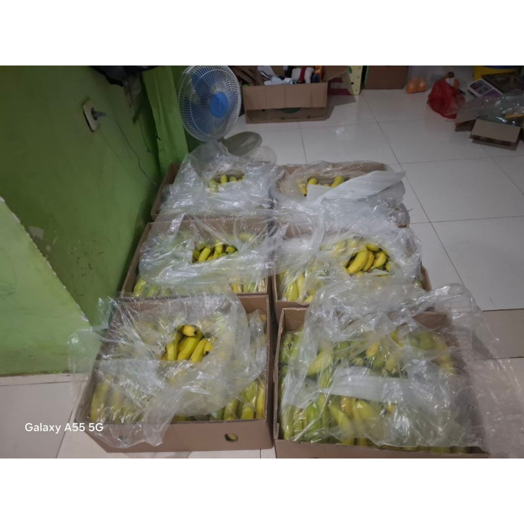

pisang ambon sunpride 900-1000