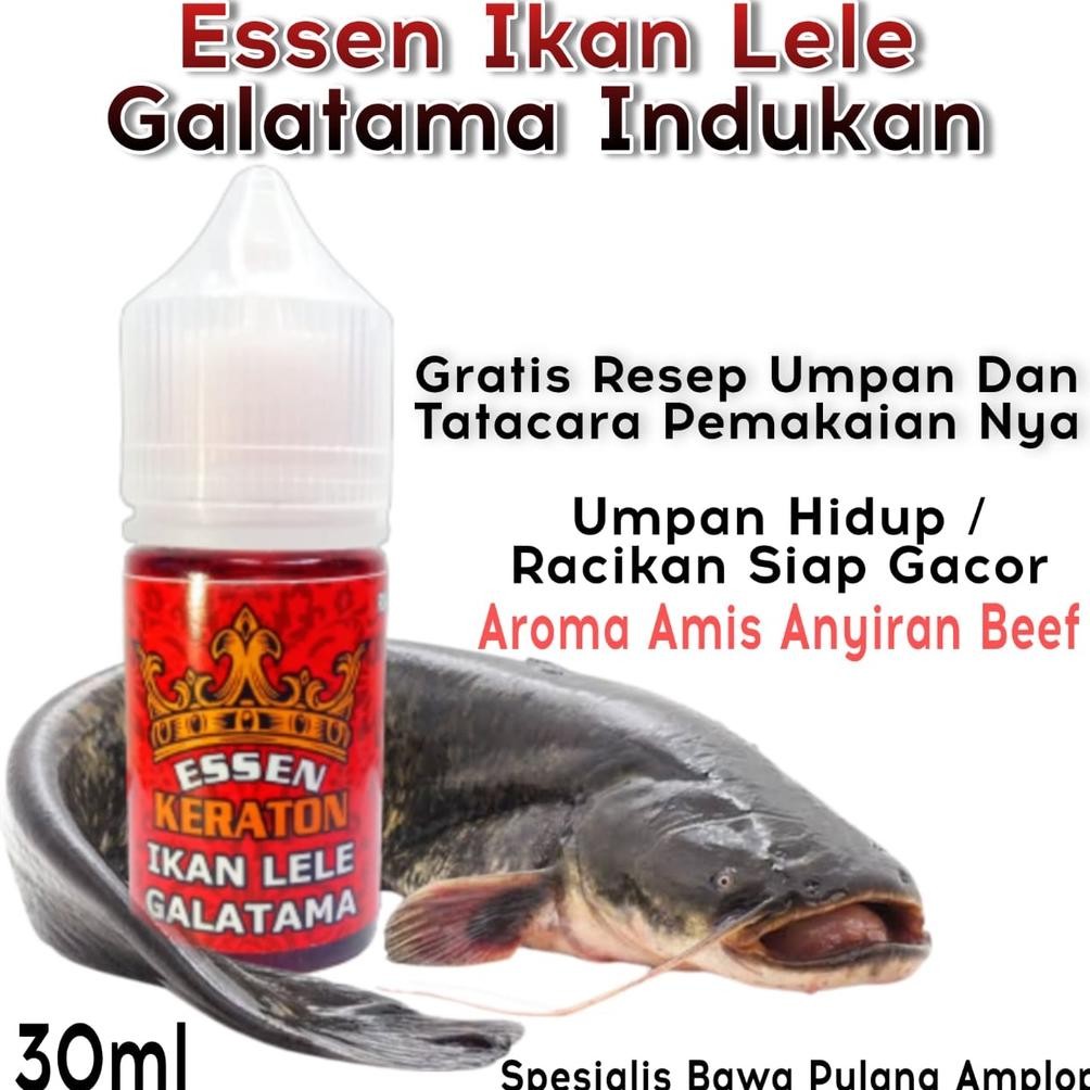 Essen Super Premium Keraton Khusus Galatama Ikan Lele, Essen Galatama Lele Paling Gacor 2023, Essen 