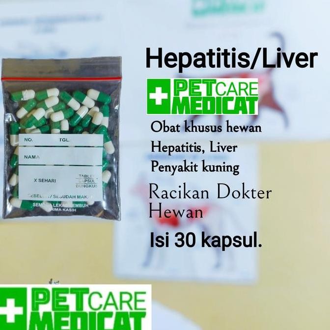 Produk Baru Obat Liver Anjing Kucing - Suplemen Hepatitis & Sakit Kuning Peliharaan