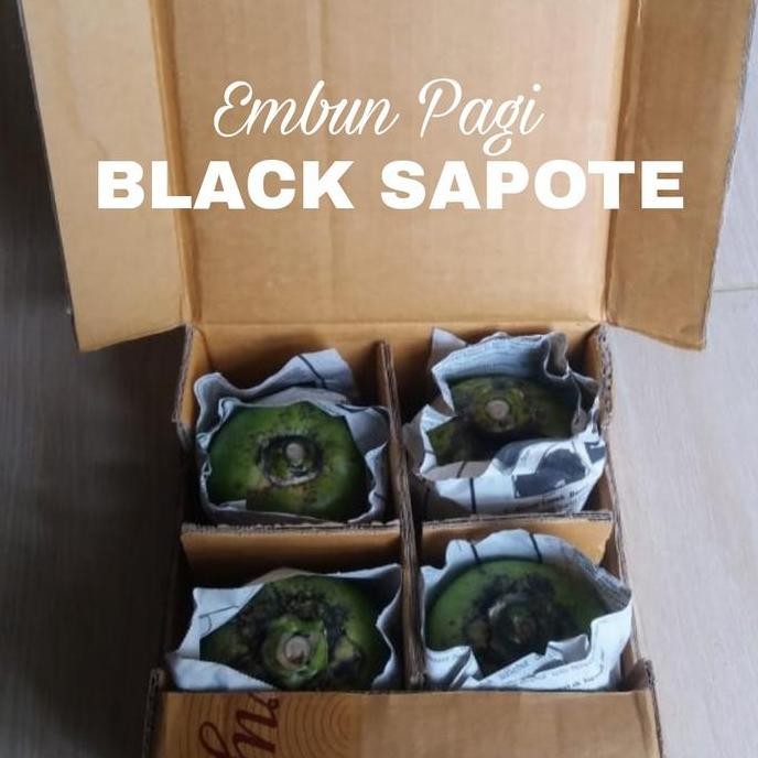 

Terlaris | Terbaru | Best Seller | Termurah Jual Buah Black Sapote Jumbo Rasa Puding Coklat Original | High Quality | Berkualitas