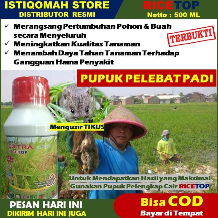 Ricetop 500Ml Pupuk Pengusir Tikus - Obat Pembasmi Hama Tikus Di Sawah - Obat Semprot Hama Tanaman P