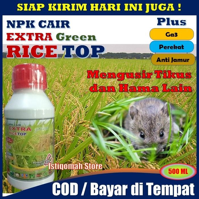 Ricetop 500Ml Obat Pengusir Hama Tikus Di Sawah - Obat Pembasmi Hama Tikus - Obat Hama Tikus Pada Ta