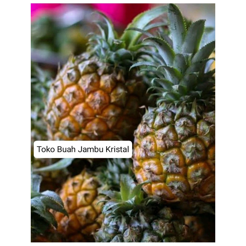 

[]COD[] __ Nanas madu 4 buah