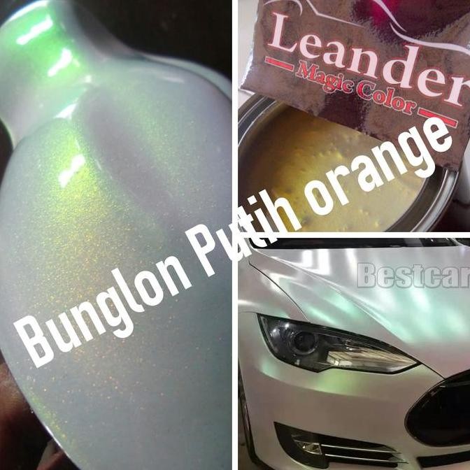 cat bunglon putih orange hijau