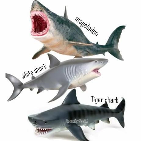 Mainan Simulasi Edukasi Ikan Hiu/ Mainan Megalodon
