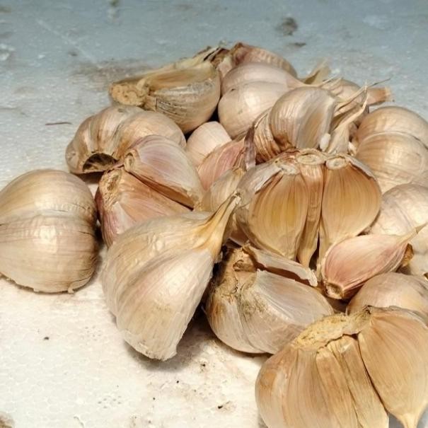 

Original Bawang Putih Kating Bersih 1Kg - Siap Masak & Tidak Bau Apek