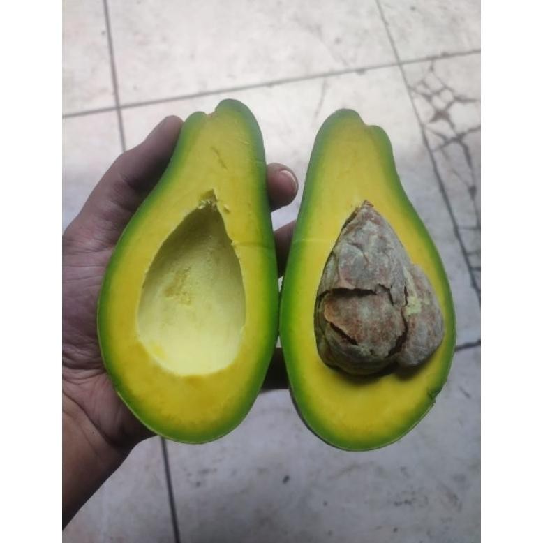 

Flash Sale - Buah Alpukat Mentega 1kg Bergaransi - Alpukat Kuning - Alpukat Mentega Legit - Aadhya Official Store !!