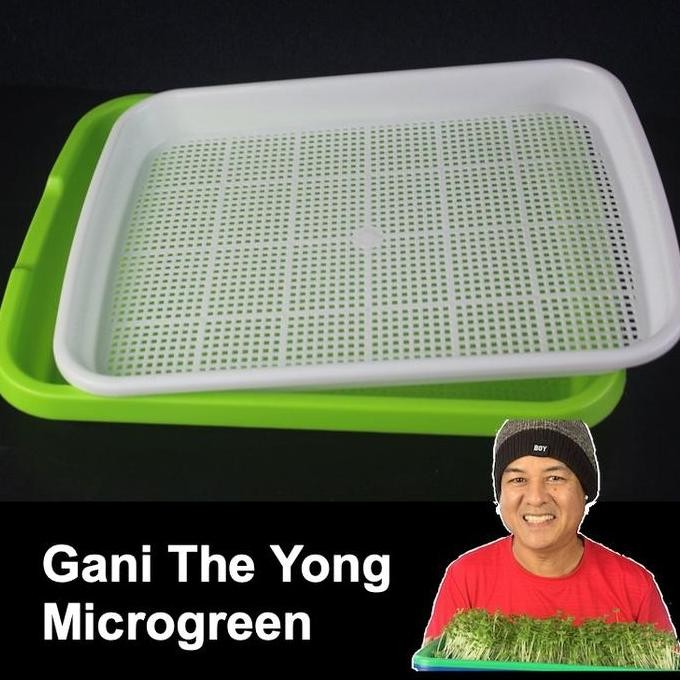 Ready TRAY MICROGREEN