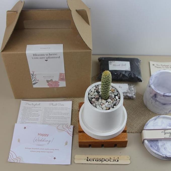 

Paket Painting Kit 12 Warna + Bibit + Semprotan