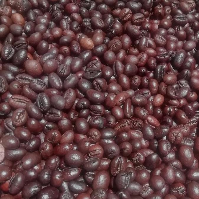 

Biji Kopi Lanang (Roasted) Kualitas Terbaik Harga Termurah