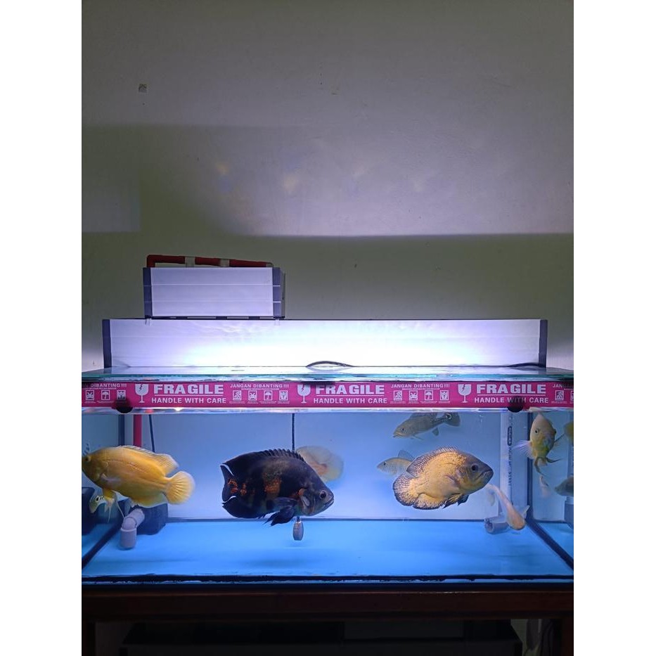 AL Top Filter Talang Aquarium - Filter Atas Akuarium PVC 2Susun 20cm - 60cm - 100cm