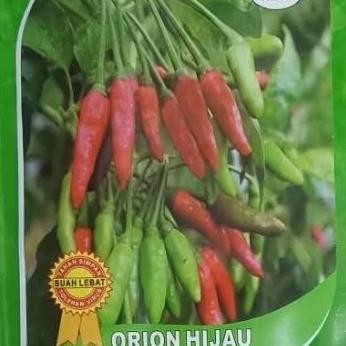 BIBIT CABE RAWIT TAHAN VIRUS ORION HIJAU 10 GRAM YOU SEED Nugi
