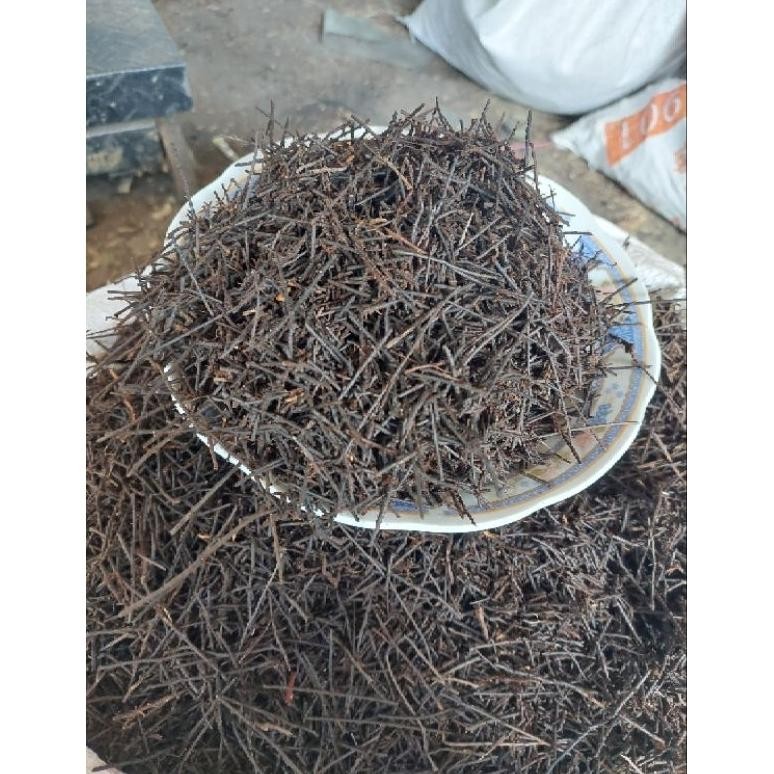 Akar Pakis Cacah Media Tanam, Kemasan Karung 10kg Nugi