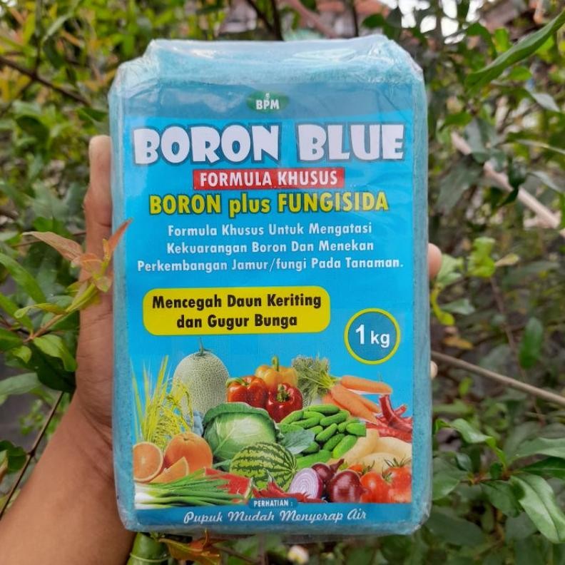 BORON BLUE 1 KG / FORMULA KHUSUS/ BORON plus FUNGISIDA/ untuk mencegah daun keriting dan gugur bunga