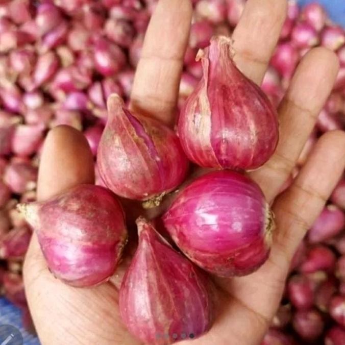 

Diskon! Dapoer Irda Bawang Goreng Premium 200-350gr - Asli Tanpa Tepung Renyah