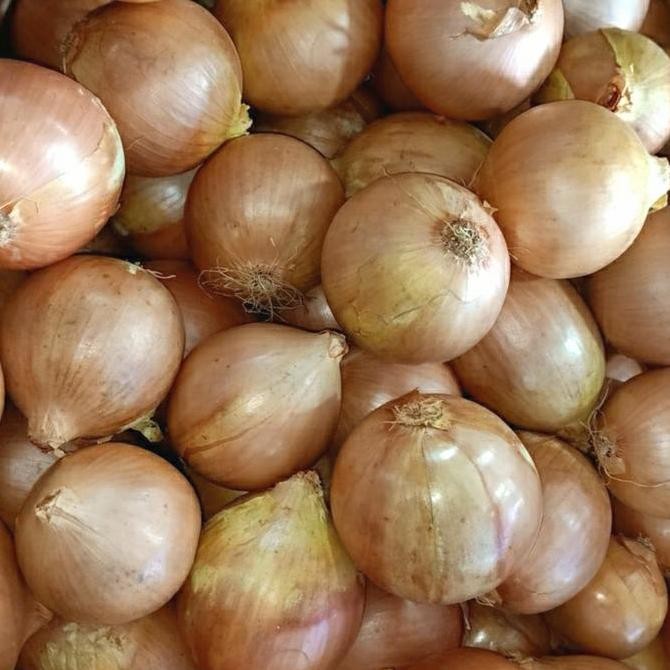 

Diskon! Bawang Bombay Segar 1kg Ukuran Besar Fresh Import
