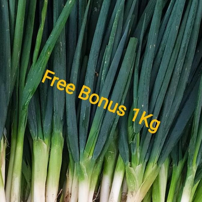 

Diskon! Daun Bawang Besar 1kg + Bonus - Sayuran Segar Masak Harian