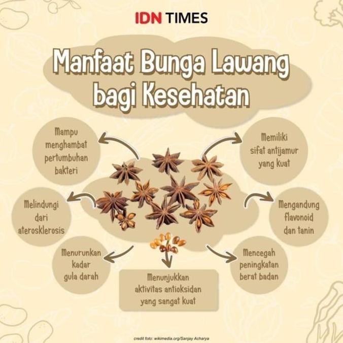

Diskon! Bunga Lawang Kering 1 Kg - Pekak Rempah Masak Whole Star Anise