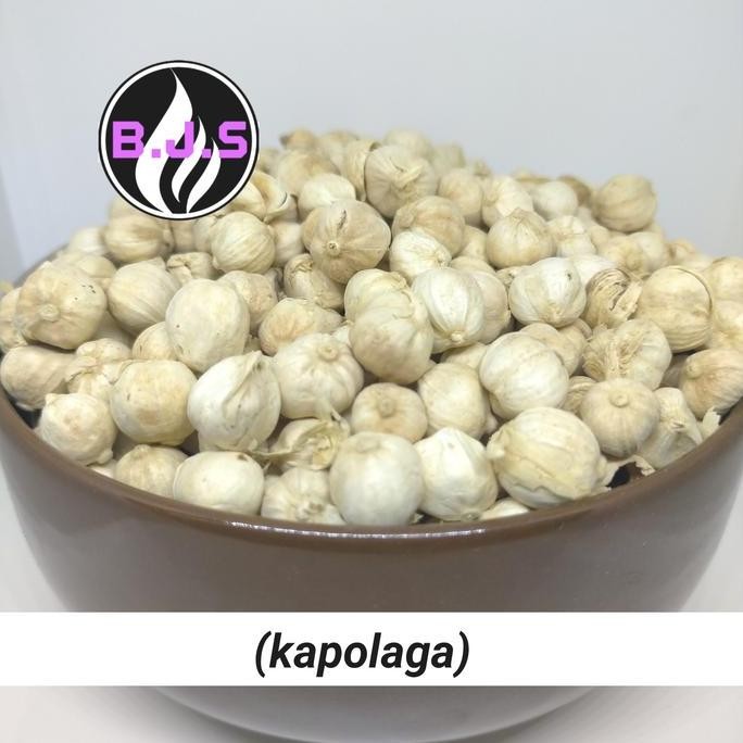 

Diskon! Kapulaga Putih 250Gr / Kapol Butir Kering / White Cardamom Lokal